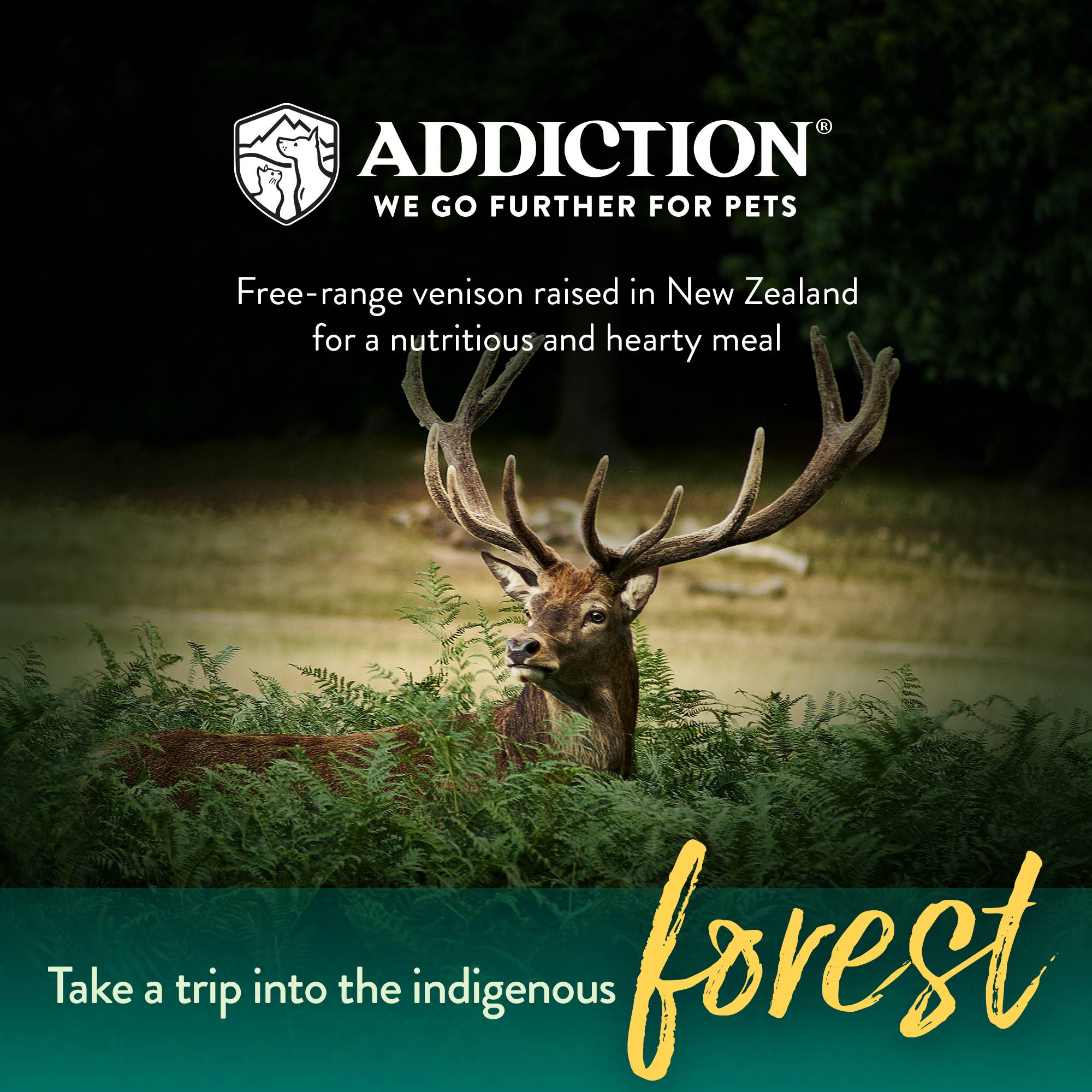 Addiction Viva La Venison, Sensitive Care, Novel Protein Dry Dog Food - Image 4