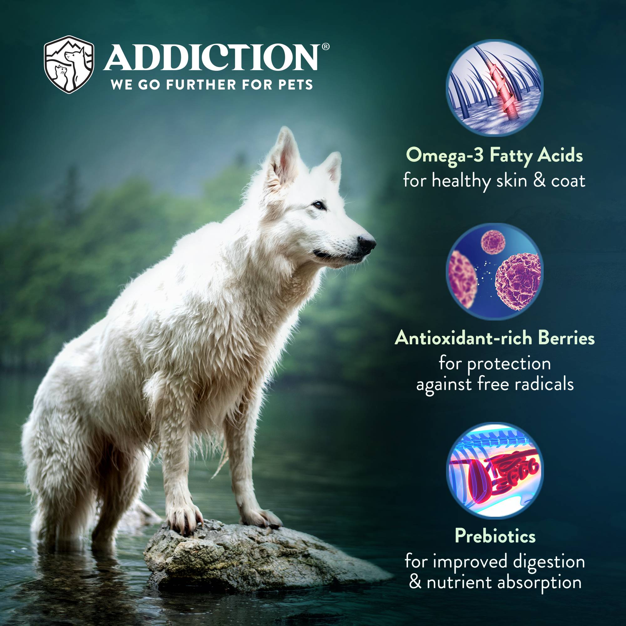 Addiction Viva La Venison, Sensitive Care, Novel Protein Dry Dog Food - Image 6