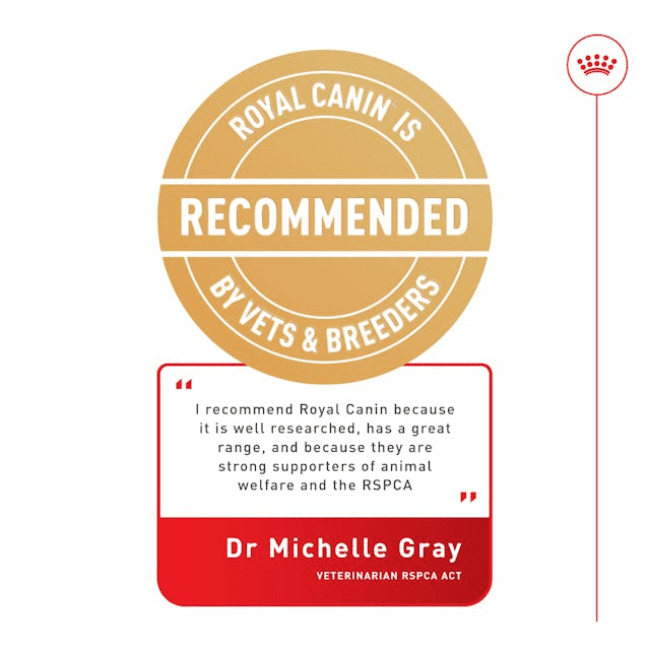 Royal Canin Maxi Adult Loaf Wet Food - Image 5