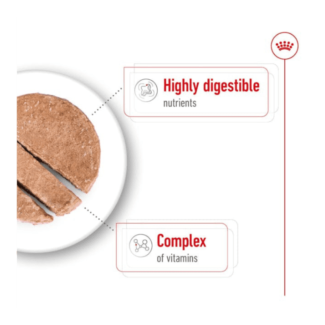 Royal Canin Mini Adult Loaf Wet Food - Image 3