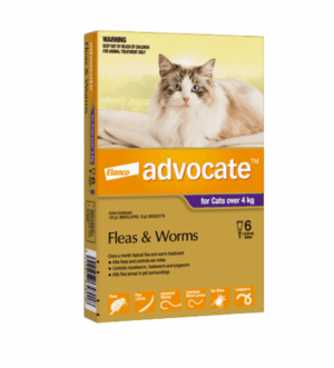 Advocate™ Flea & Worm Treatment for Cats Over 4kg - 6 Pack
