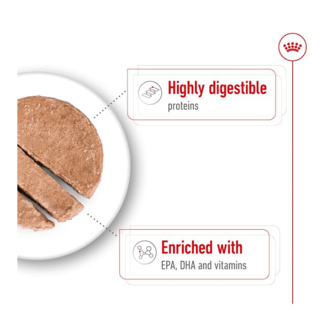 Royal Canin Maxi Adult Loaf Wet Food - Image 3