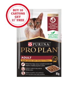 Pro Plan Adult Wet Cat Chicken in Gravy