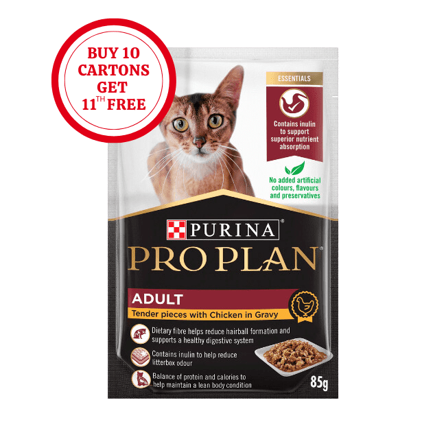 Pro Plan Adult Wet Cat Chicken in Gravy