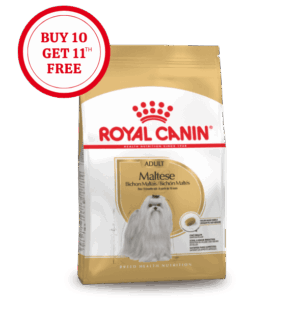 Royal Canin Maltese Adult Dry Food