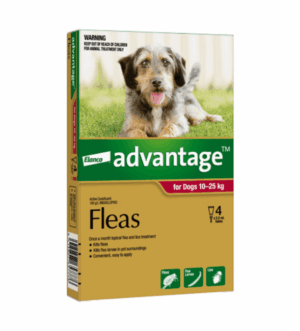 Advantage™ Flea Treatment for Dogs 10kg - 25kg, 4 Pack
