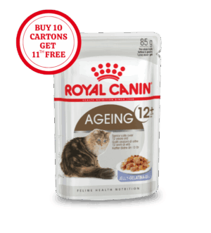 Royal Canin Ageing 12+ in Jelly