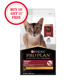 Pro Plan Adult Cat Chicken Dry Food
