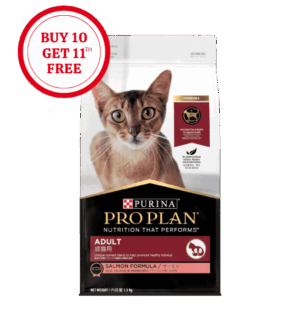 Pro Plan Adult Cat Salmon Dry Food