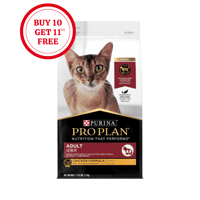 Pro Plan Adult Cat Chicken Dry Food