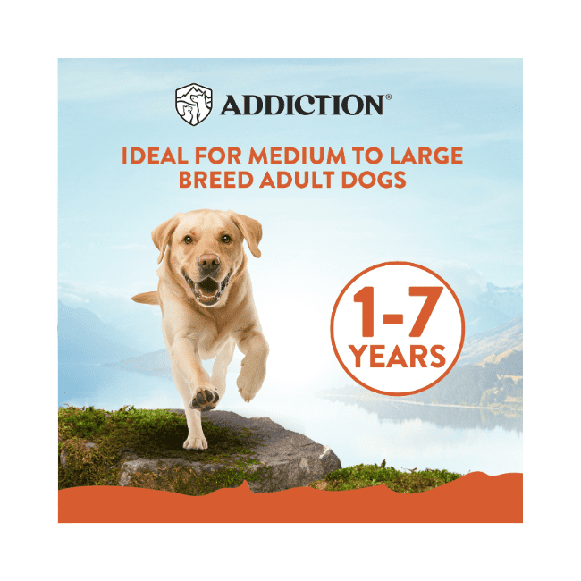 Addiction MEGA Chicken for Large Breed Adult, Complete & Balanced Dry Dog Food - Image 4