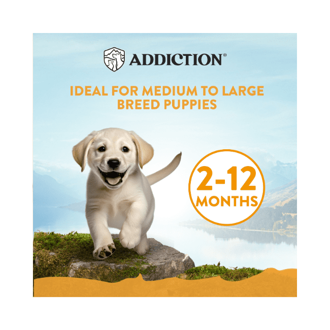 Addiction MEGA Chicken for Large Breed Puppy, Complete & Balanced, Dry Dog Food - Image 4