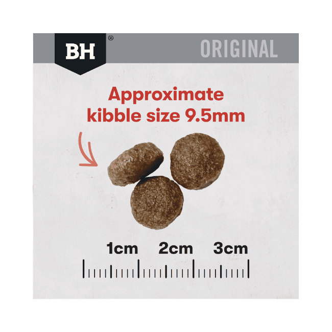 Black Hawk Original Cat Chicken and Kangaroo Dry Food - Image 5