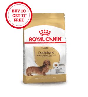 Royal Canin Dachshund Adult Dry Food