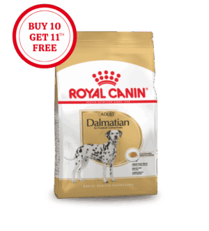 Royal Canin Dalmatian Adult Dry Food