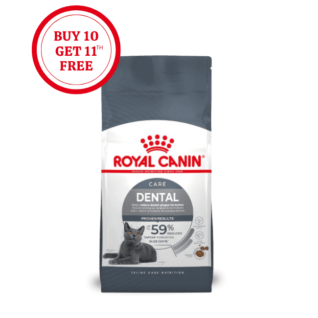 Royal Canin Dental Care Cat Food