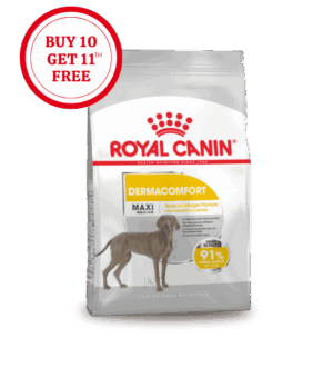 Royal Canin Maxi Dermacomfort Dry Food