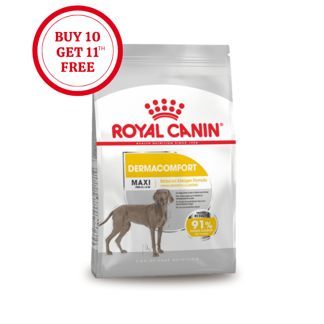 Royal Canin Maxi Dermacomfort Dry Food