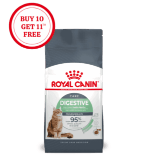 Royal Canin Digestive Care Dry Cat Food