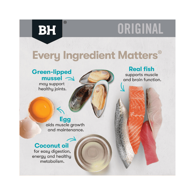 Black Hawk Cat Ocean Fish Dry Food - Image 4