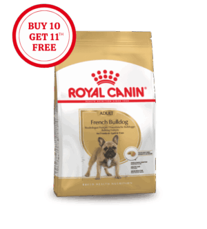 Royal Canin French Bulldog Adult Dry Food