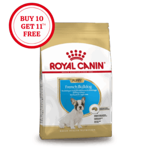 Royal Canin French Bulldog Puppy