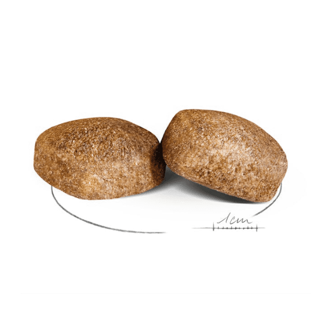 Royal Canin Giant Adult Dry Food - Image 2