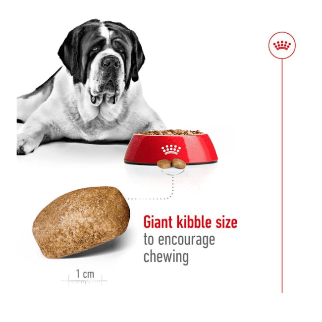 Royal Canin Giant Adult Dry Food - Image 3