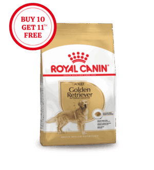 Royal Canin Golden Retriever Adult Dry Food