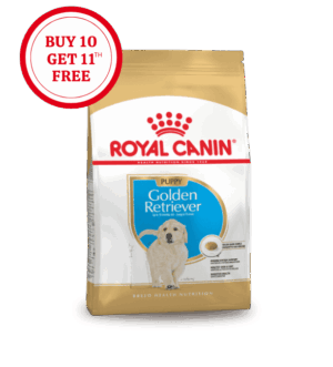 Royal Canin Golden Retriever Puppy Dry Food