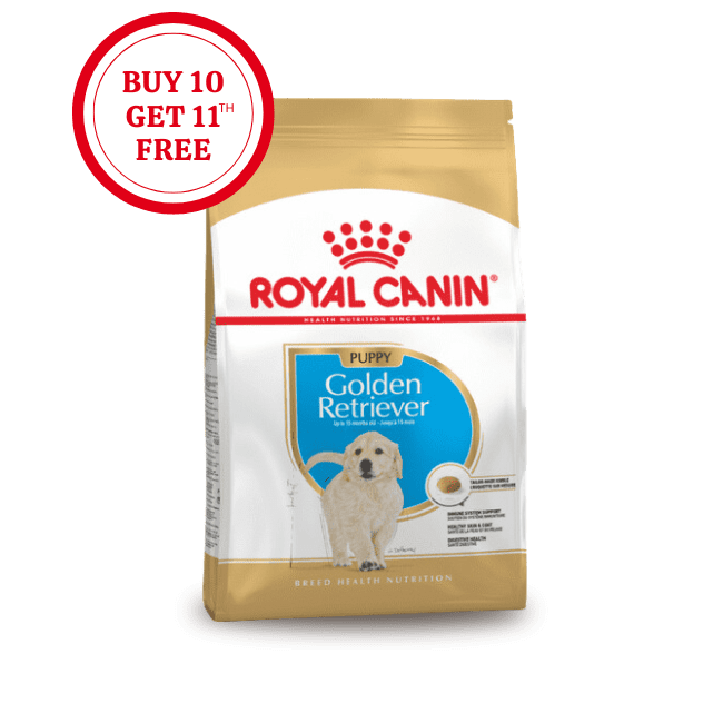 Royal Canin Golden Retriever Puppy Dry Food