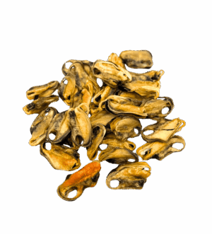 Ranger Green Lipped Mussels