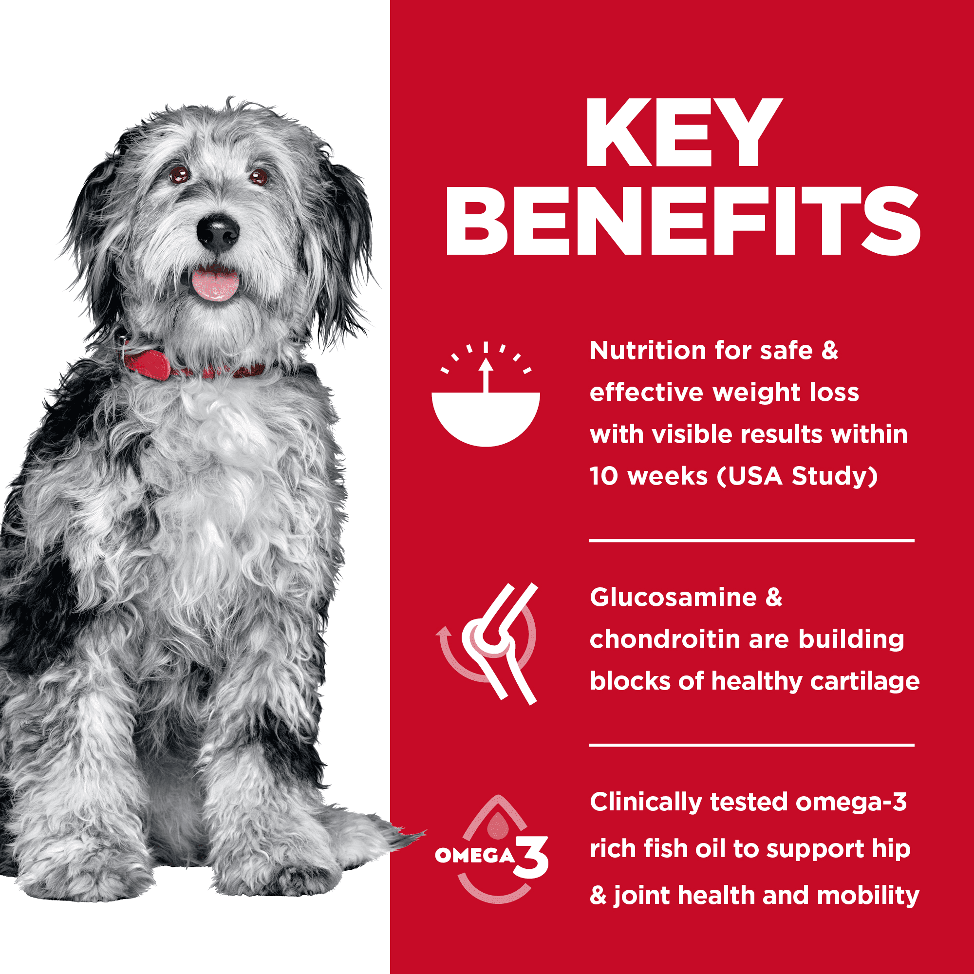 Hill's Science Diet Adult Perfect Weight & Joint Support Dry Dog Food - Image 3