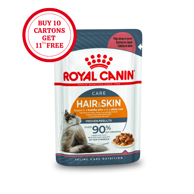 Royal Canin Hair & Skin in Gravy