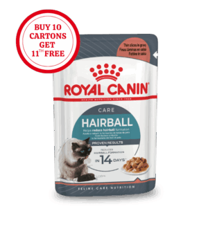 Royal Canin Hairball Care in Gravy