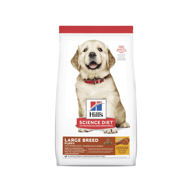 Hill's Science Diet Puppy Large Breed Dry Dog Food