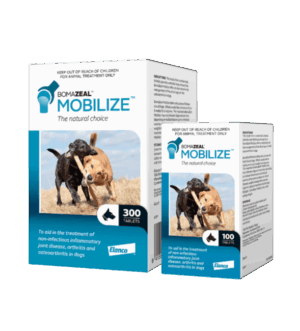 Bomazeal Mobilize Natural Bone & Joint Supplement