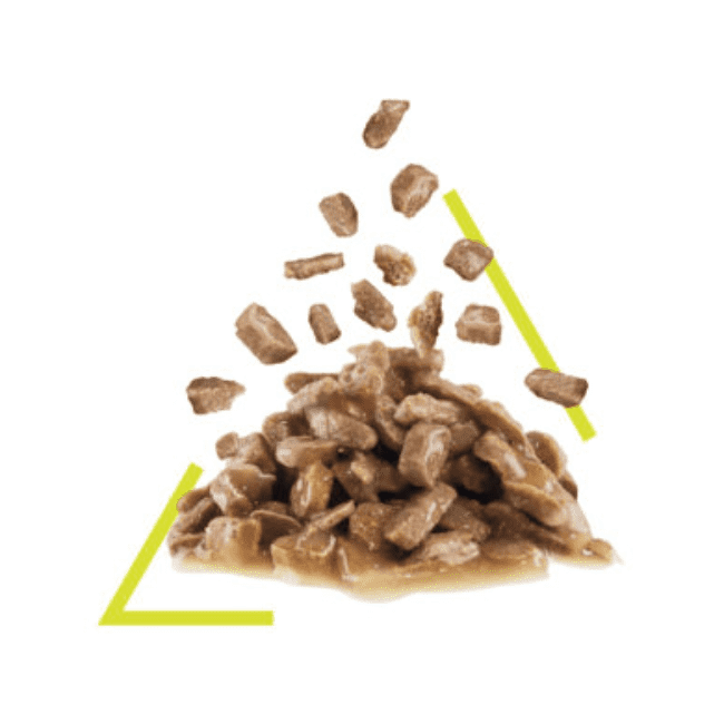 Royal Canin Sensory Smell Chunks in Gravy - Image 3