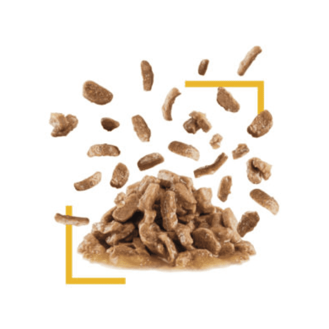 Royal Canin Sensory Taste Chunks in Gravy - Image 3