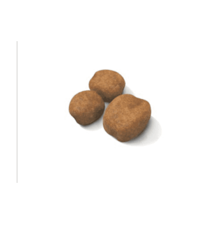 Royal Canin Giant Puppy Dry Food