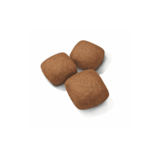 Royal Canin Junior Giant Dry Food