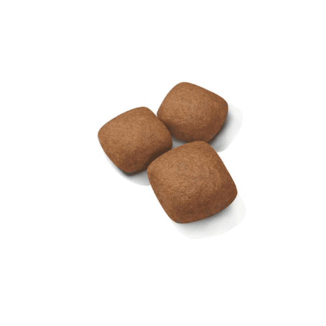 Royal Canin Junior Giant Dry Food - Image 2