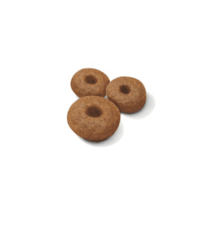 Royal Canin Maxi Starter Mother & Babydog Dry Food