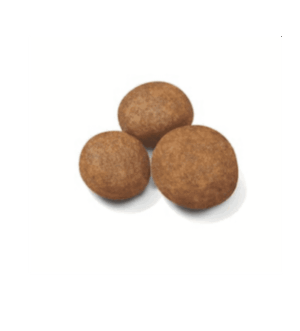 Royal Canin Maxi Puppy Dry Food