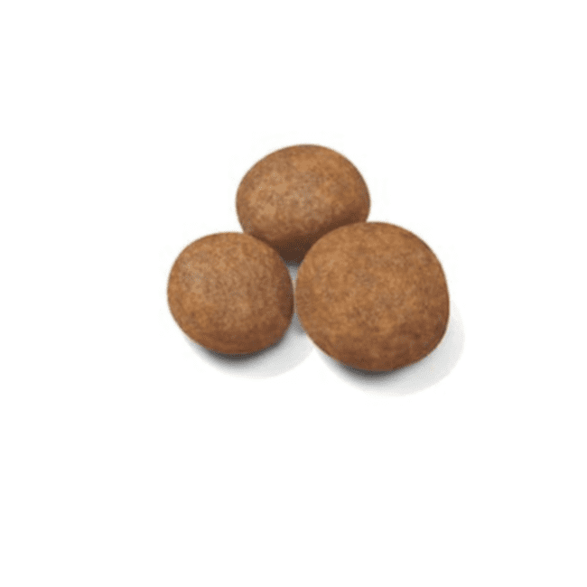 Royal Canin Maxi Puppy Dry Food - Image 2