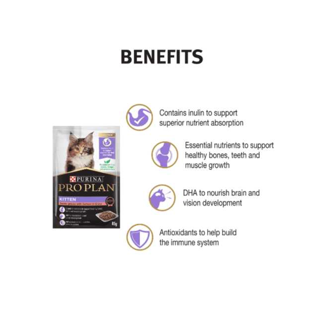 Pro Plan Kitten Salmon in Gravy Wet Food - Image 3