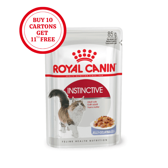 Royal Canin Instinctive Adult in Jelly