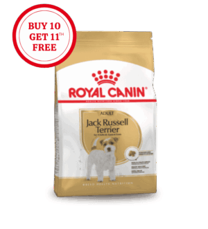 Royal Canin Jack Russell Adult Dry Food
