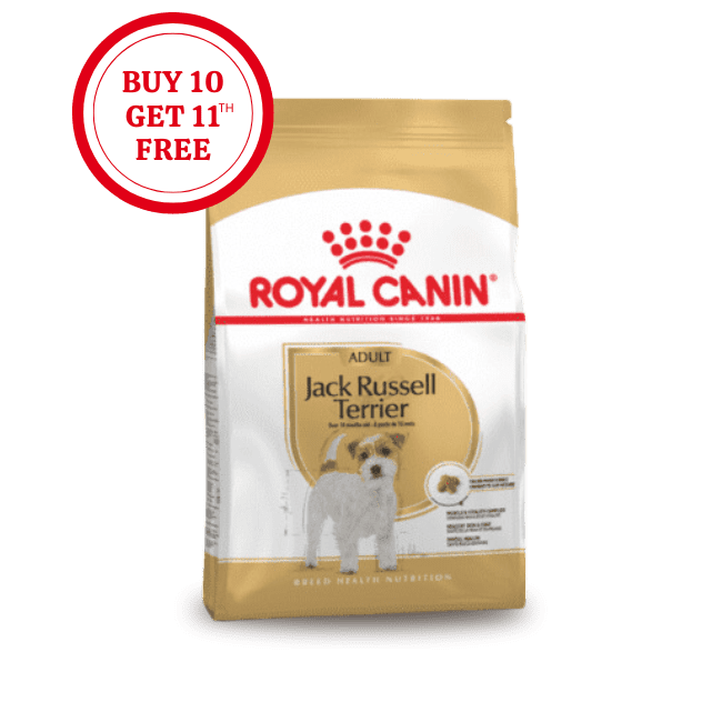Royal Canin Jack Russell Adult Dry Food