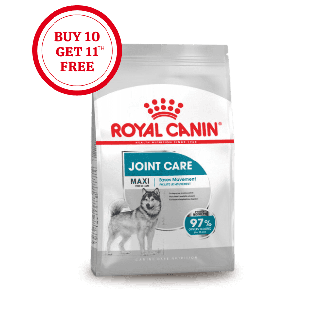Royal Canin Maxi Joint Care
